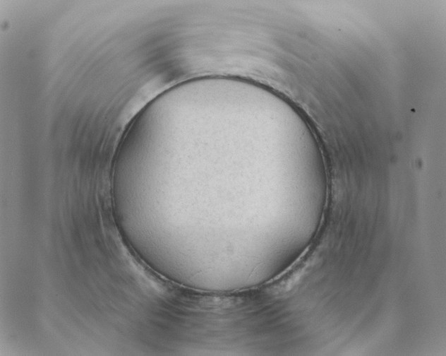 X0000089351521200707061012