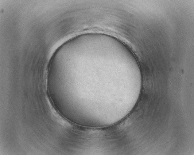 X0000089351522200707061012