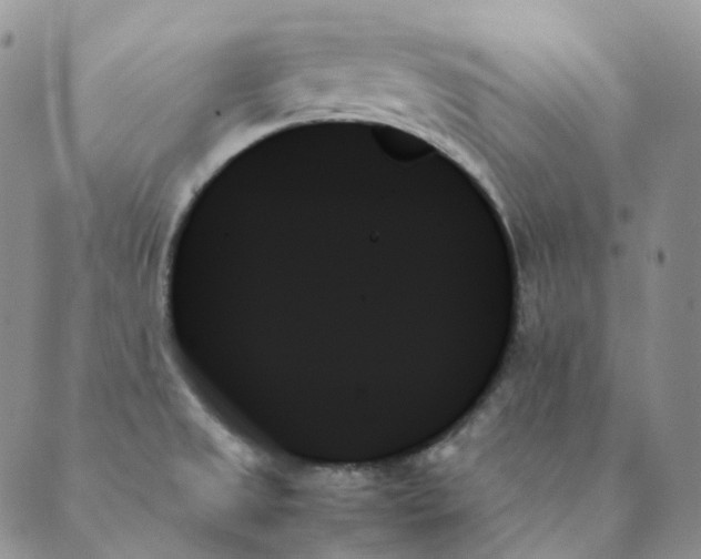 X0000089351525200707061012