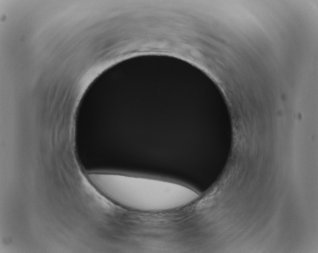 X0000089351527200707061012