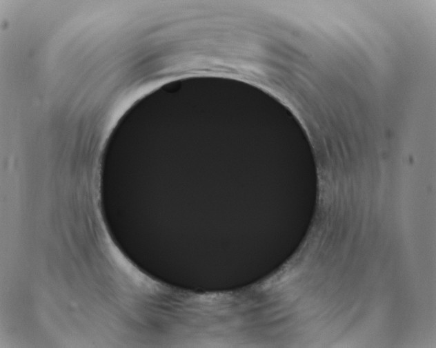 X0000089351531200707061012