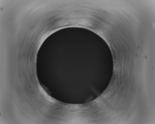X0000089351532200707061012