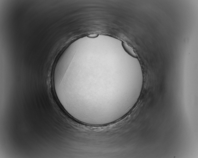 X0000089350002200707131539