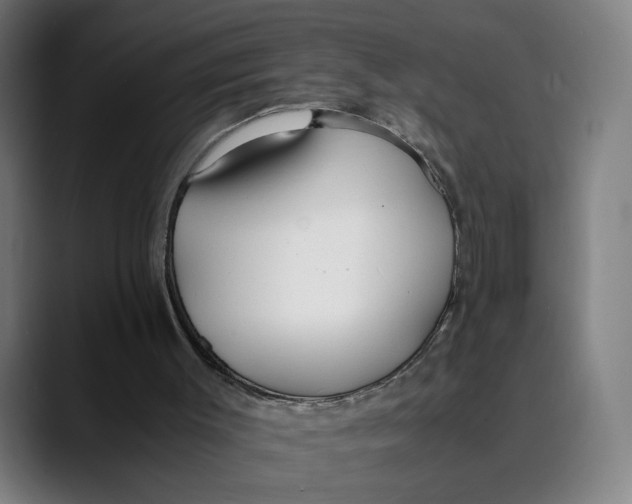 X0000089350003200707131539