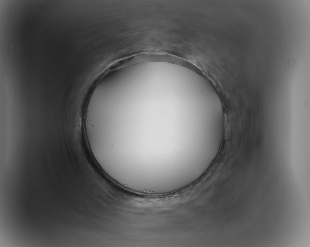 X0000089350005200707131539