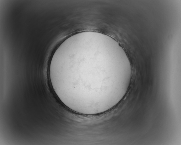X0000089350006200707131539