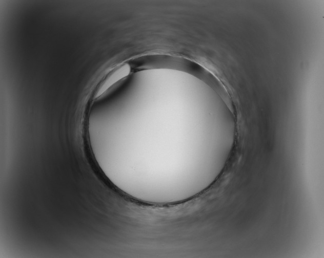 X0000089350007200707131539
