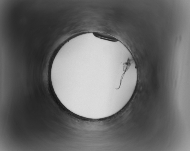 X0000089350008200707131539