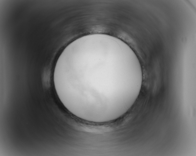 X0000089350012200707131539