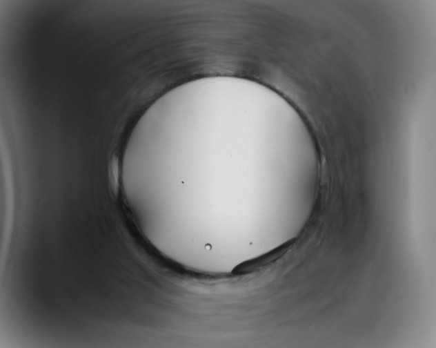 X0000089350013200707131539