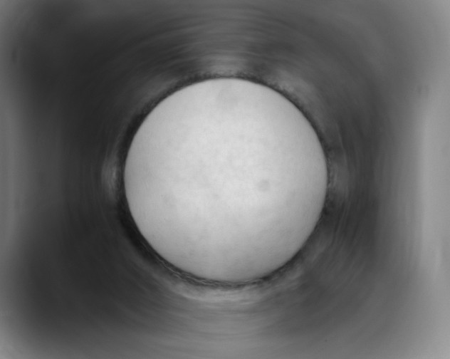 X0000089350016200707131539