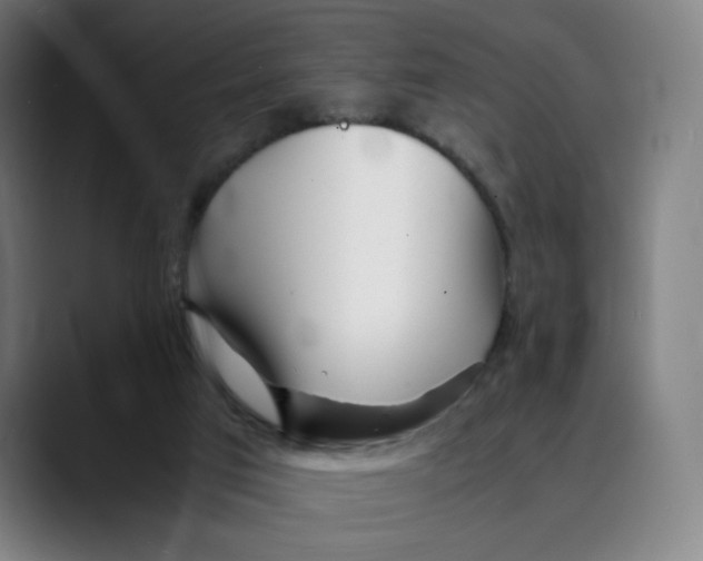 X0000089350017200707131539