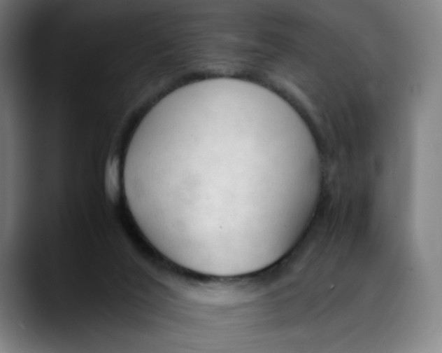 X0000089350020200707131539