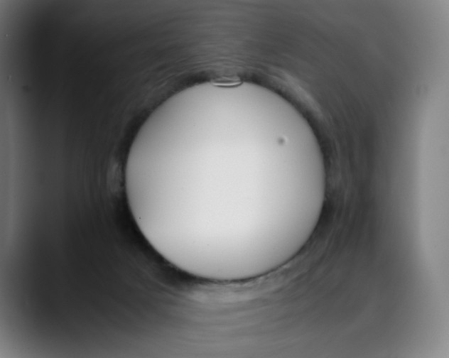 X0000089350025200707131539