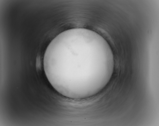 X0000089350026200707131539