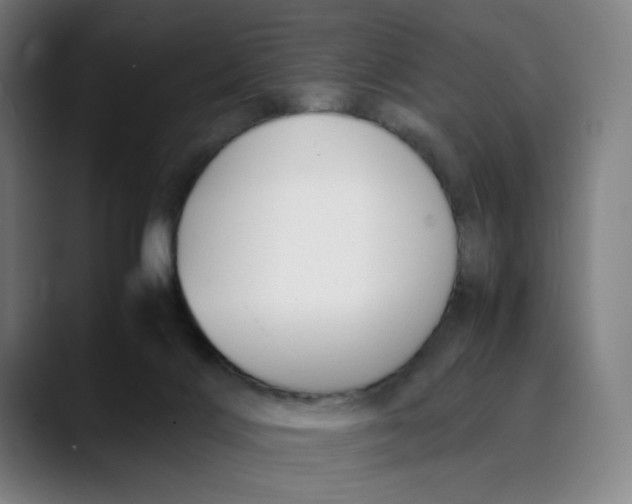 X0000089350028200707131539