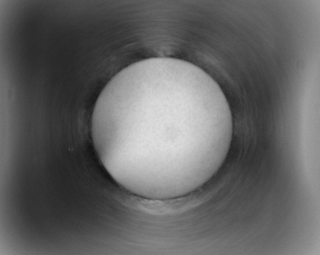 X0000089350030200707131539