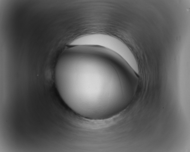 X0000089350031200707131539