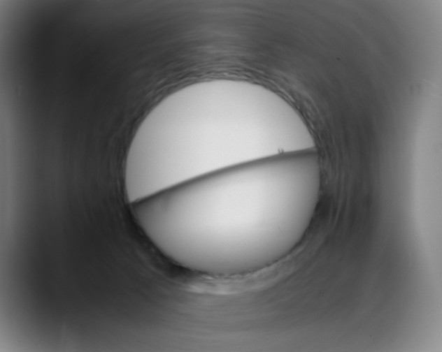 X0000089350033200707131539