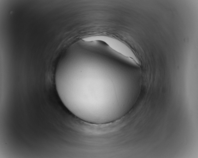 X0000089350035200707131539