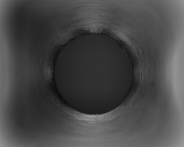X0000089350039200707131539
