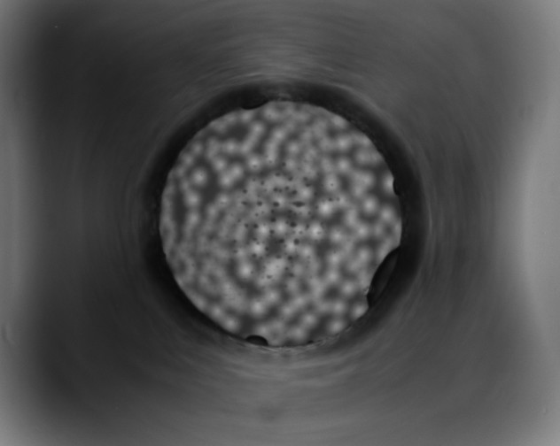 X0000089350043200707131539