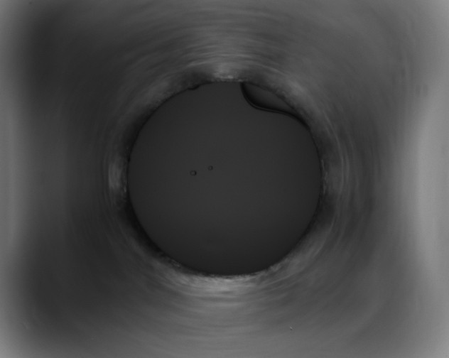 X0000089350044200707131539