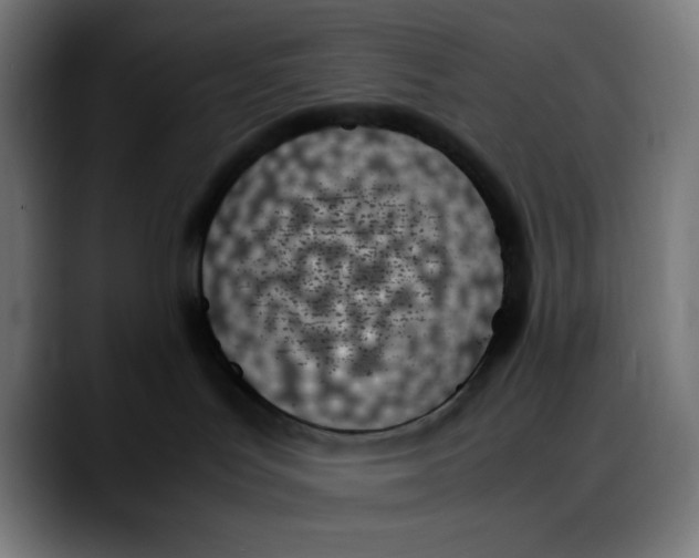 X0000089350047200707131539
