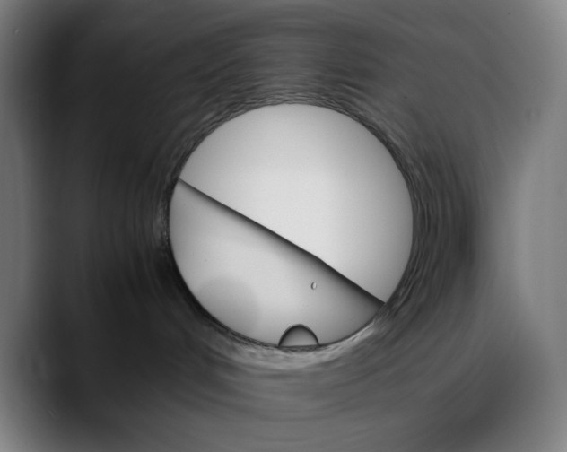 X0000089350048200707131539