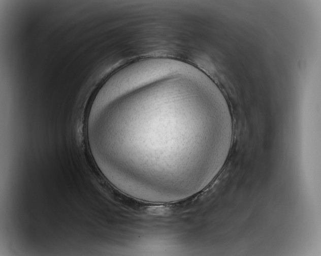 X0000089350050200707131538