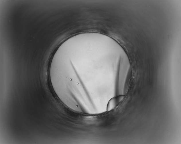 X0000089350053200707131538