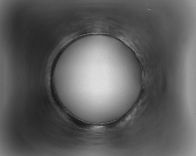 X0000089350055200707131538