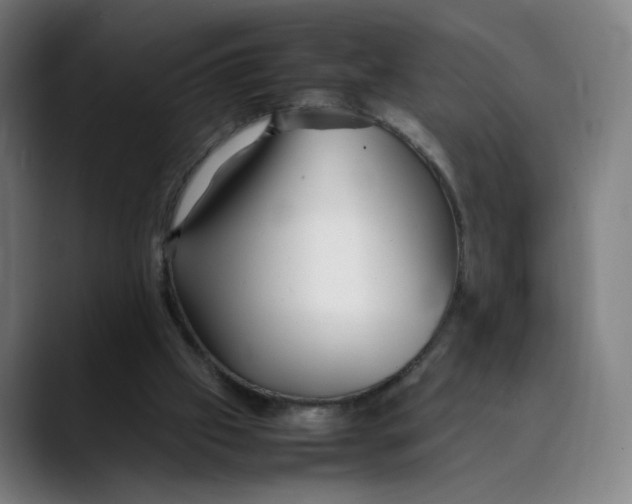 X0000089350057200707131538