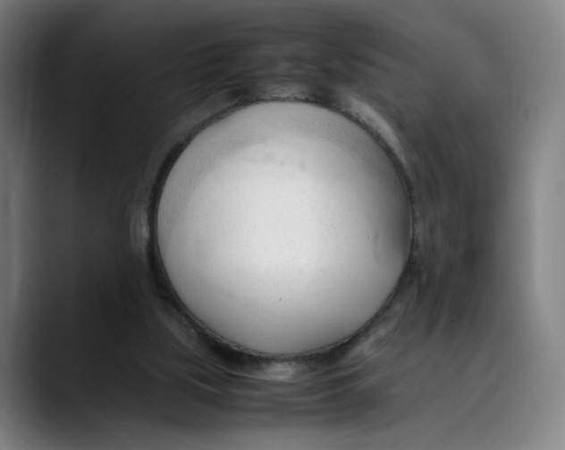 X0000089350059200707131538