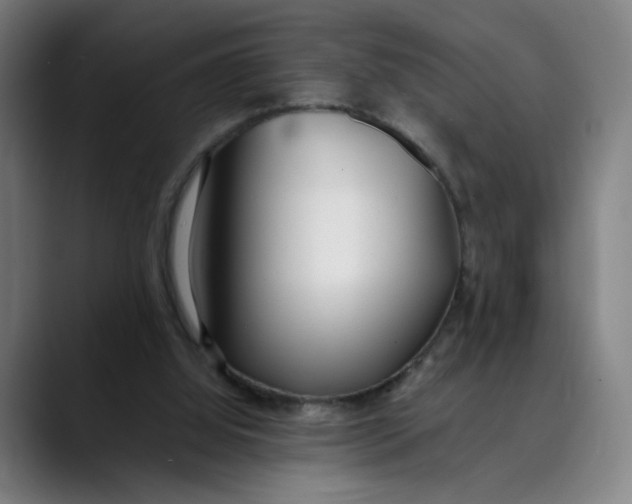 X0000089350060200707131538