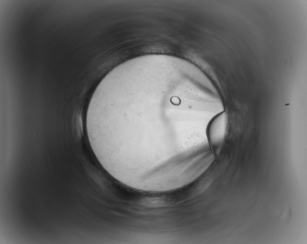 X0000089350061200707131538