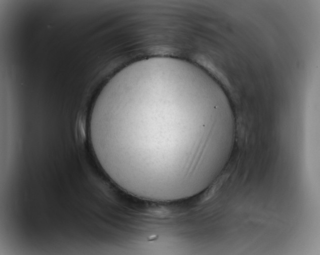 X0000089350062200707131538
