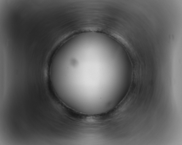 X0000089350064200707131538