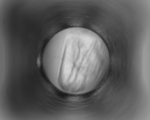 X0000089350069200707131538