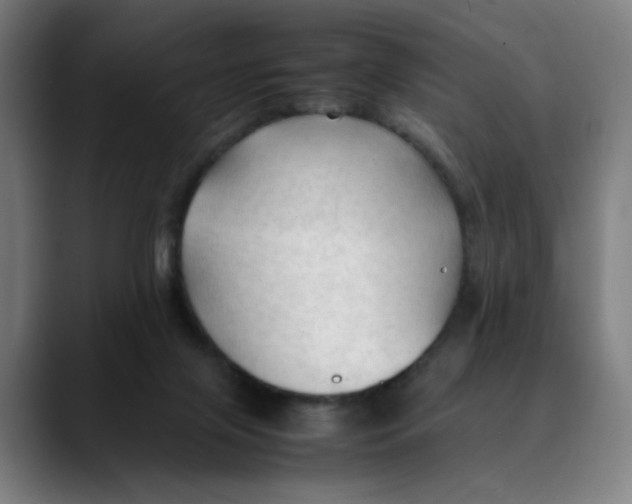 X0000089350071200707131538