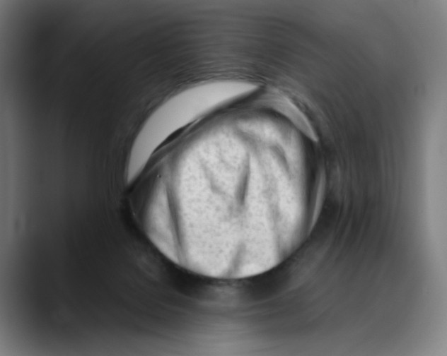 X0000089350076200707131538