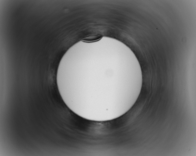 X0000089350083200707131539