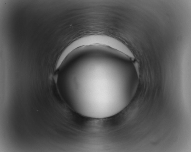 X0000089350084200707131539