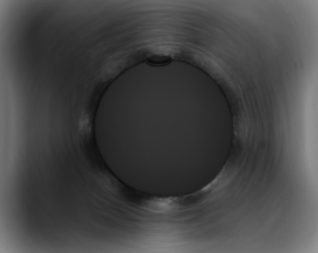 X0000089350086200707131539