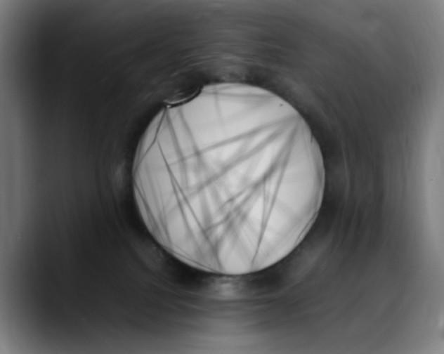 X0000089350088200707131539