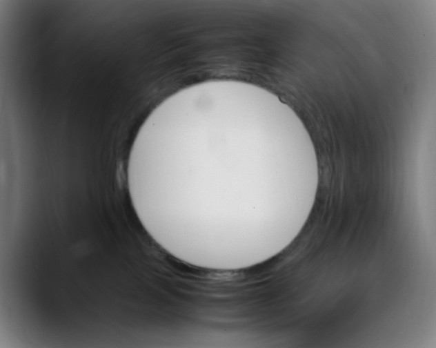 X0000089350089200707131539