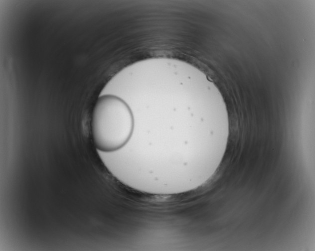 X0000089350090200707131539