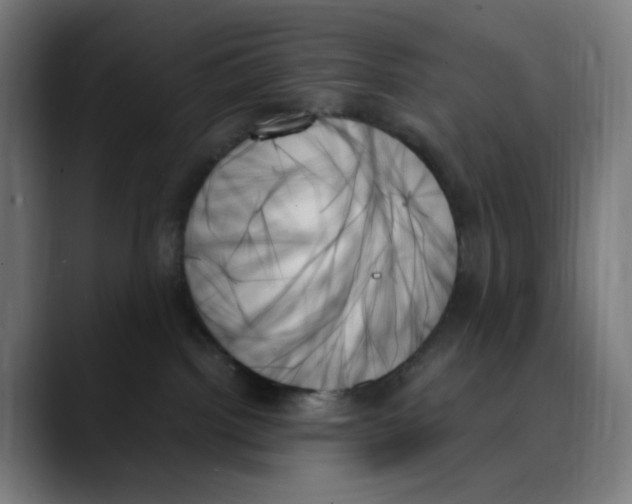 X0000089350092200707131539