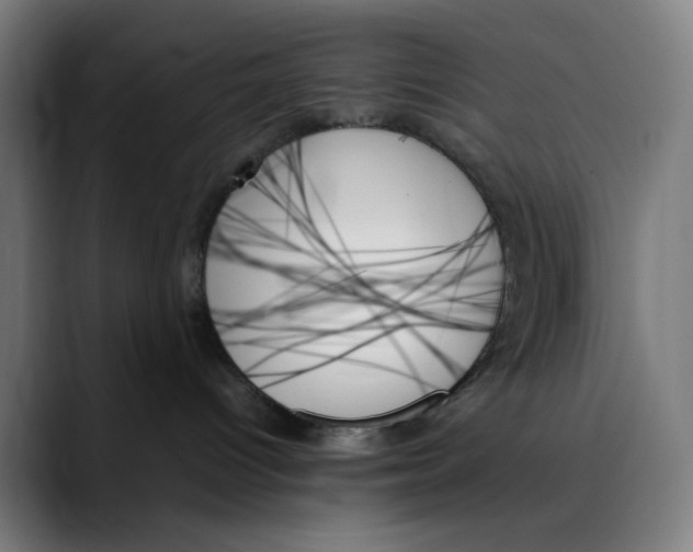 X0000089350096200707131539