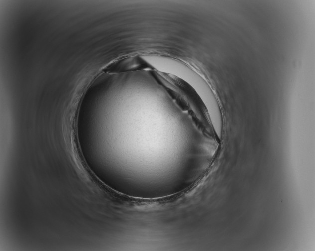 X0000089350097200707131538